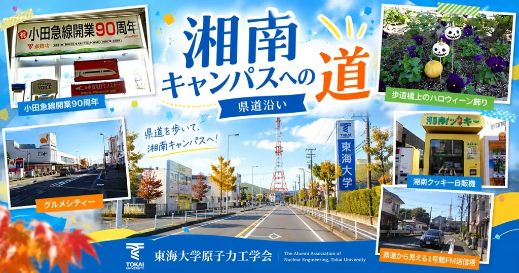 report2017-11-22img